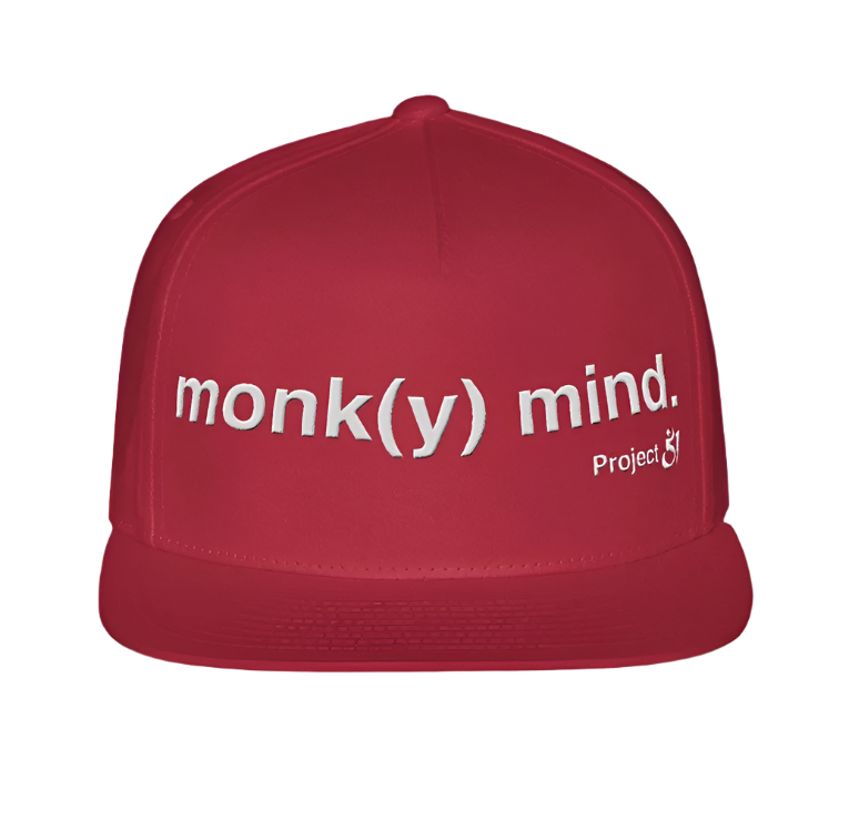 monk(y) mind. snapback